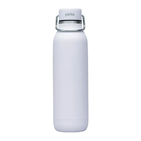 20 Oz. Perka® Dashing Stainless Steel Bottle (Q221722)