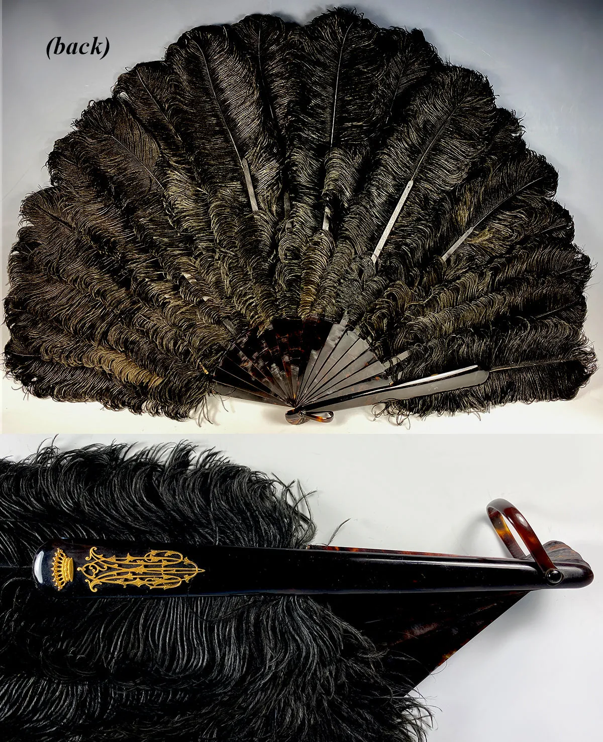 BIG 19th c. Antique Ostrich Feather Fan, 39 cm Open, Tortoise Shell Monture and 18k Crown Monogram