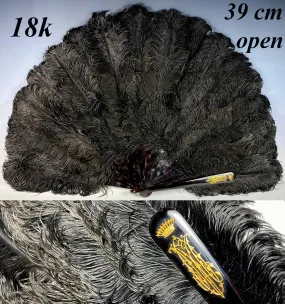 BIG 19th c. Antique Ostrich Feather Fan, 39 cm Open, Tortoise Shell Monture and 18k Crown Monogram