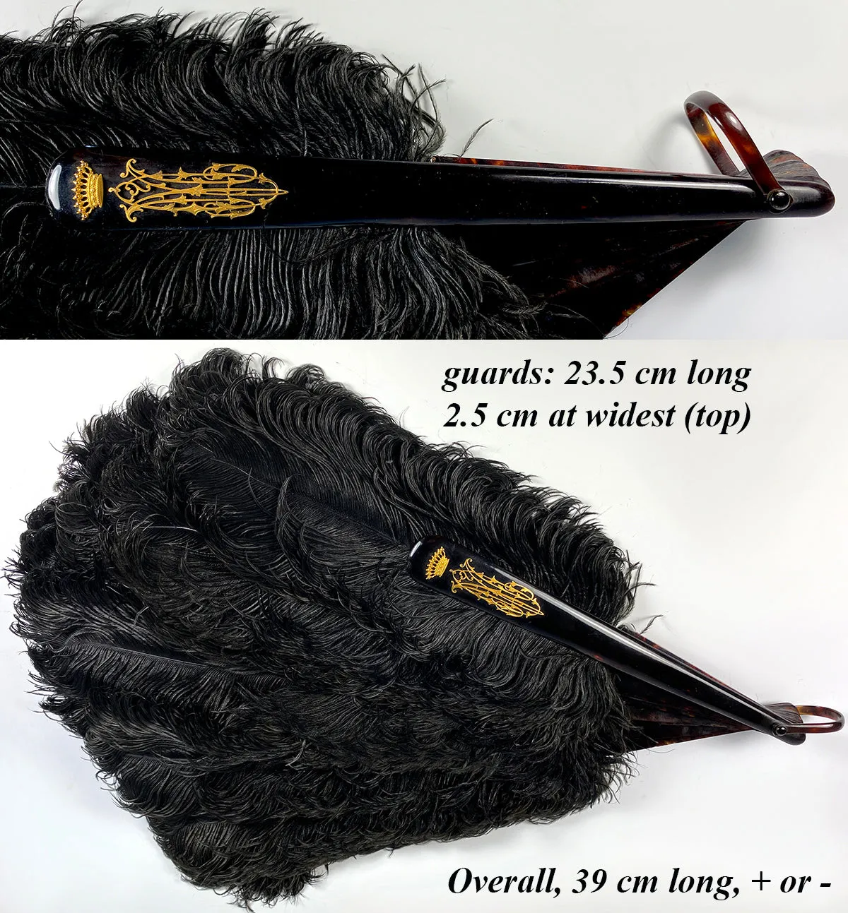 BIG 19th c. Antique Ostrich Feather Fan, 39 cm Open, Tortoise Shell Monture and 18k Crown Monogram