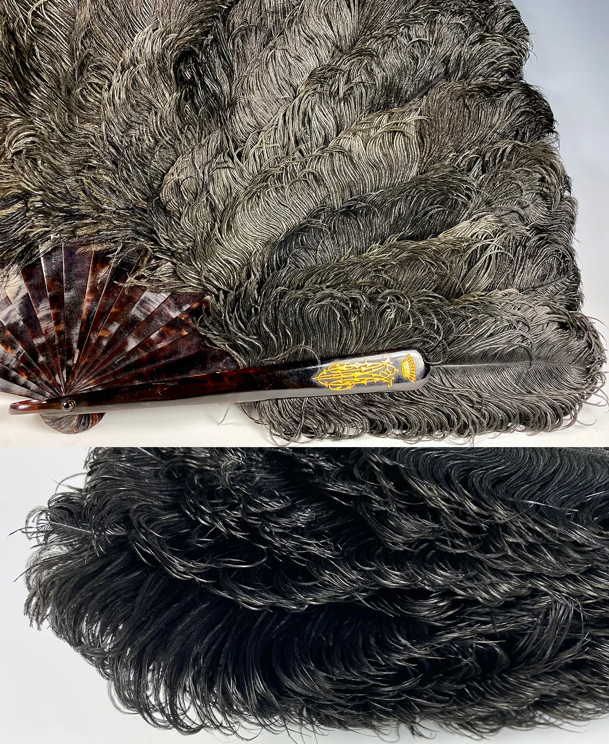 BIG 19th c. Antique Ostrich Feather Fan, 39 cm Open, Tortoise Shell Monture and 18k Crown Monogram