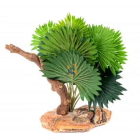 Mini Fan Palm on Stone Base with Worn Wood