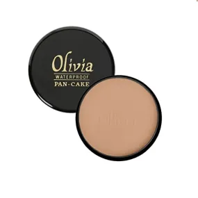 Olivia Waterproof Natural Honey Makeup Cream Concealer Pan Cake -25g, Shade No.24