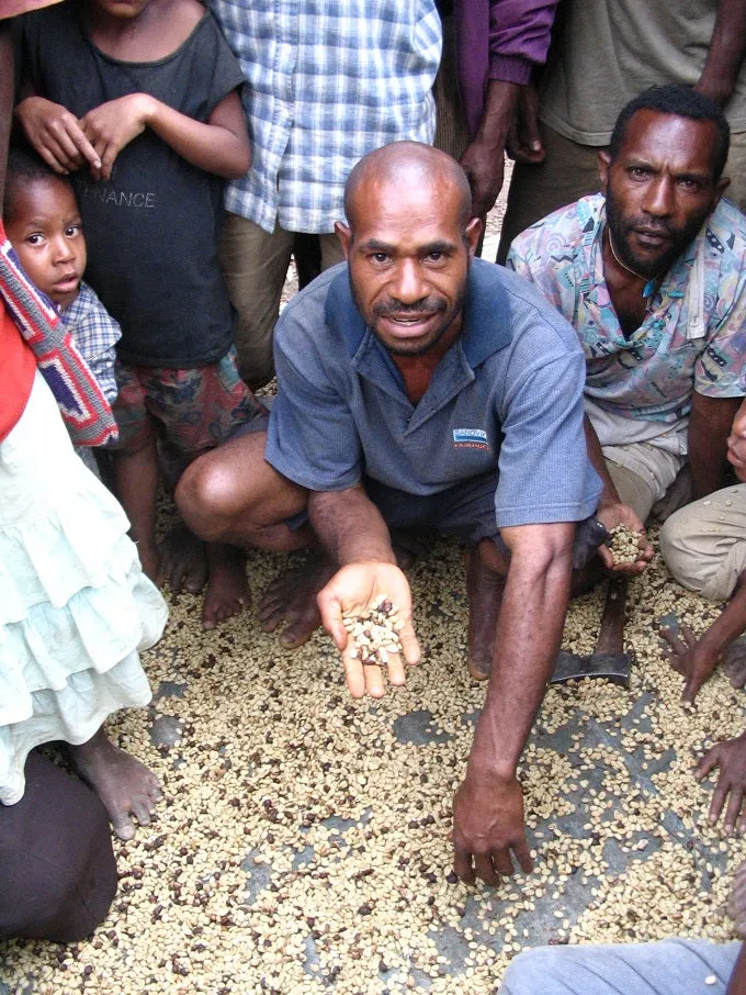 Organic Papua New Guinea Green Coffee (Unroasted)